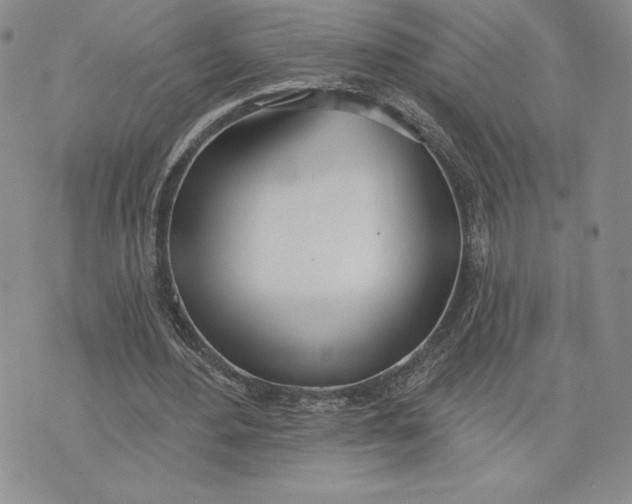 X0000075370484200609251131