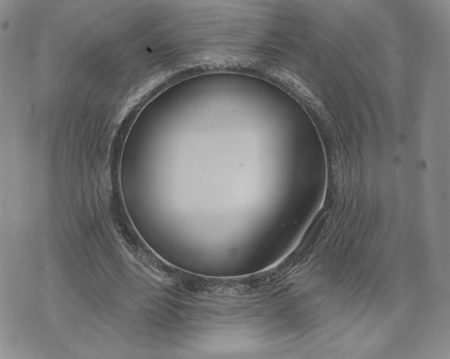 X0000075370488200609251131