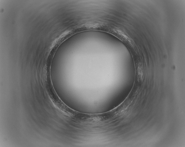 X0000075370492200609251130
