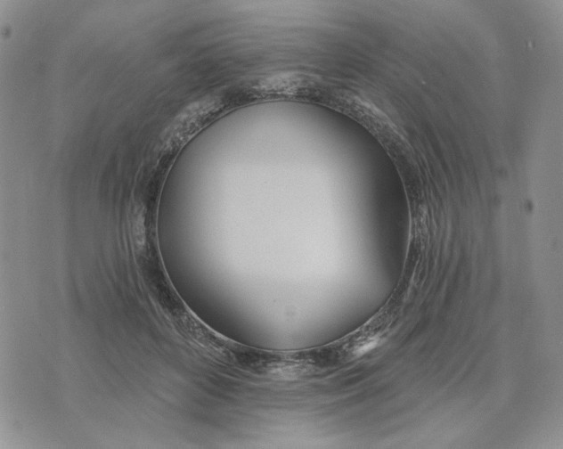 X0000075370504200609251130