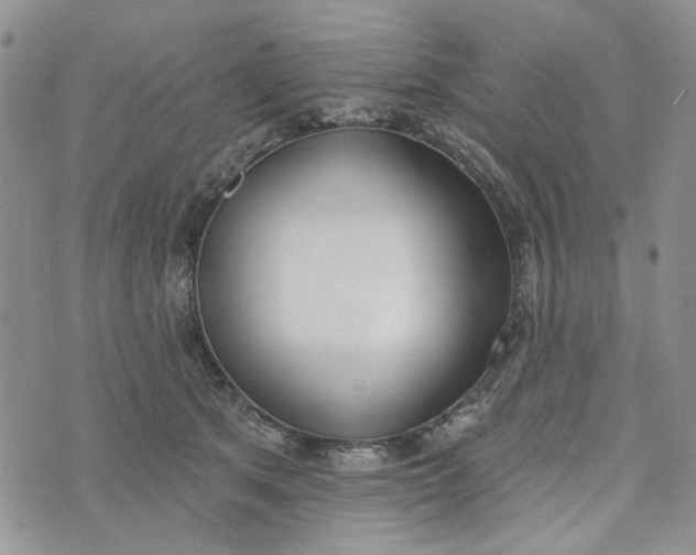 X0000075370513200609251130