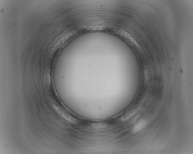 X0000075370541200609251129