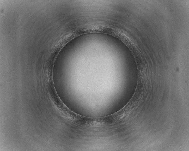 X0000075370546200609251129