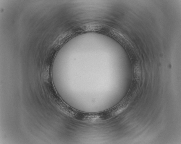 X0000075370554200609251130
