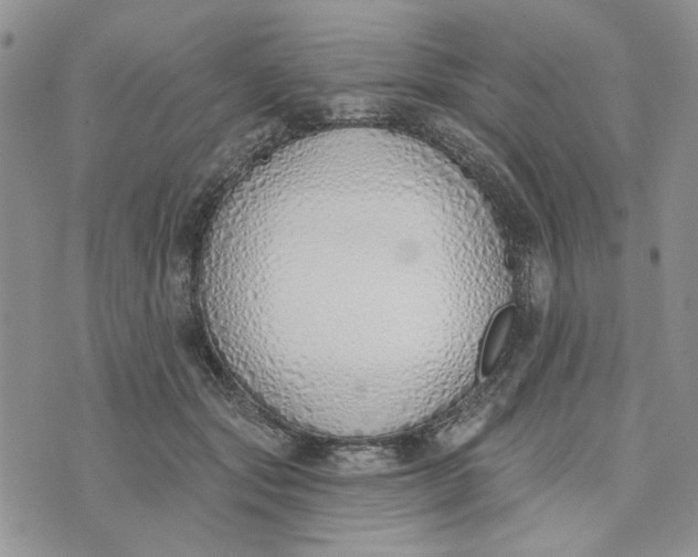 X0000075370557200609251130