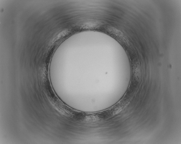 X0000075370591200609251129