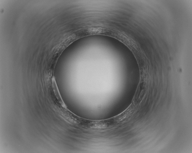 X0000075370601200609251129