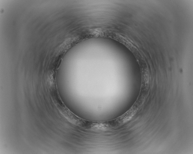 X0000075370611200609251129