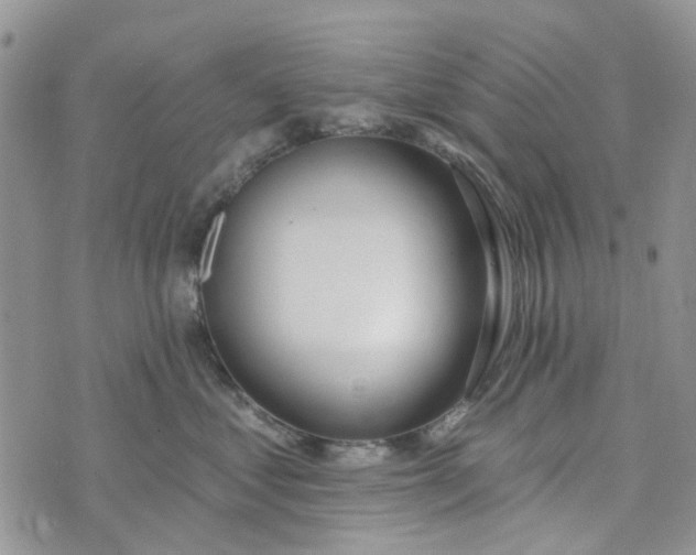 X0000075370621200609251128