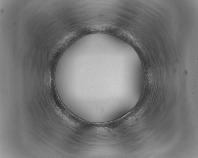 X0000075370637200609251128