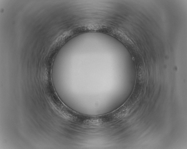 X0000075370639200609251128