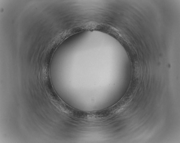 X0000075370641200609251128
