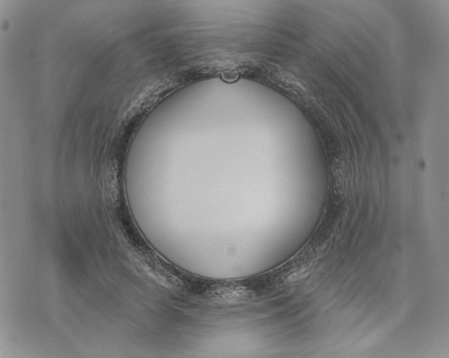 X0000075370642200609251128
