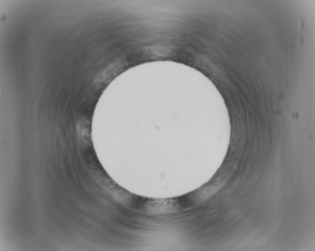 X0000075370672200609251128