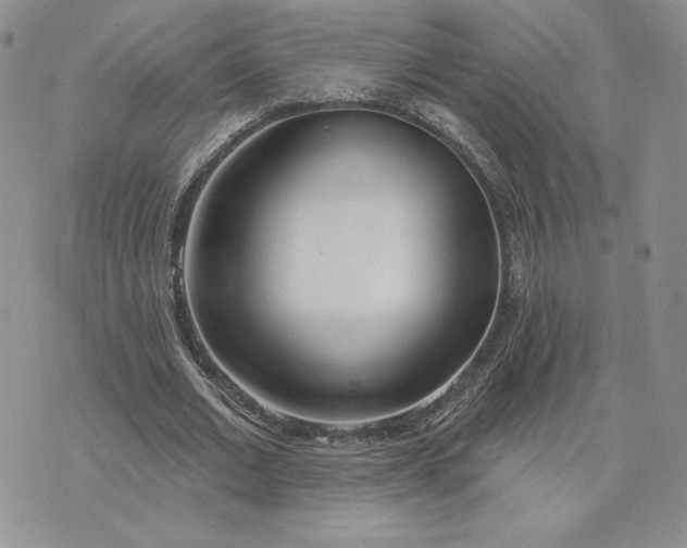 X0000075370677200609251127