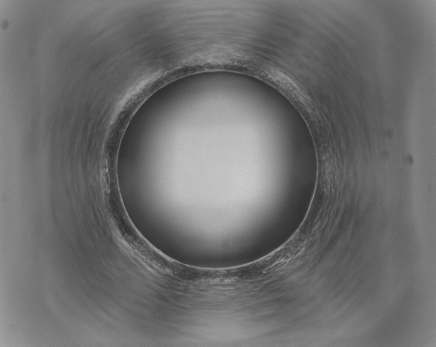 X0000075370680200609251127