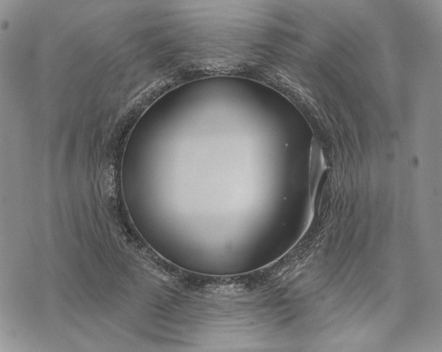 X0000075370689200609251127