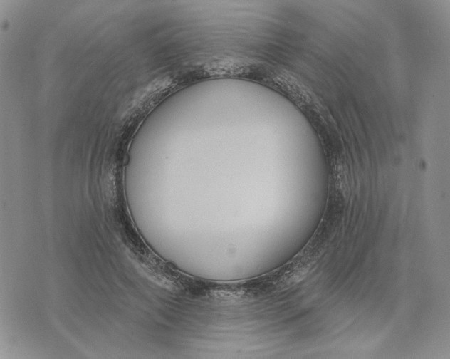 X0000075370690200609251127