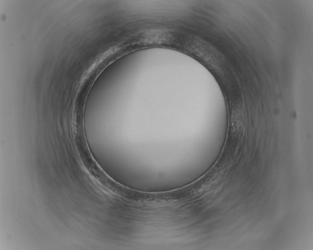 X0000075370722200609251126