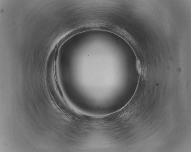 X0000075370724200609251126