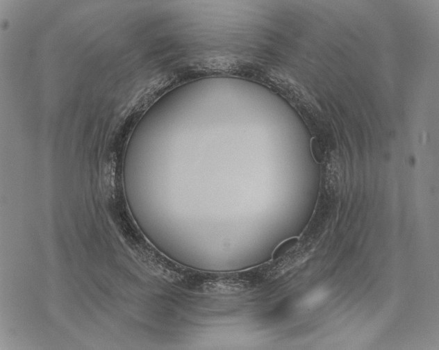 X0000075370739200609251126