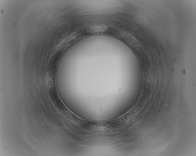X0000075370743200609251126