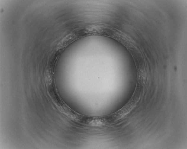 X0000075370751200609251126