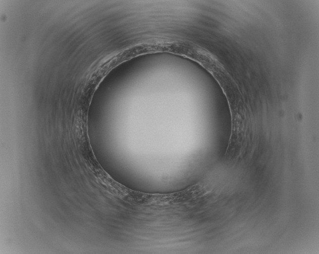 X0000075370773200609251126