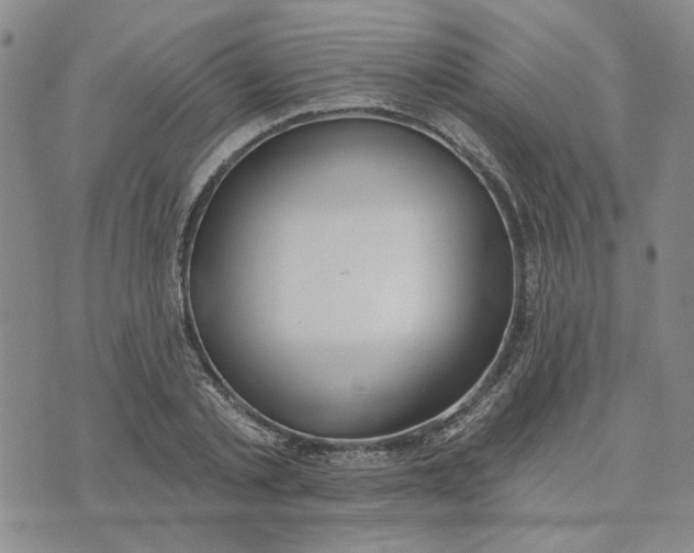 X0000075370789200609251126