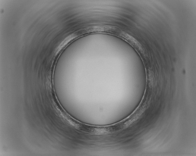 X0000075370794200609251126