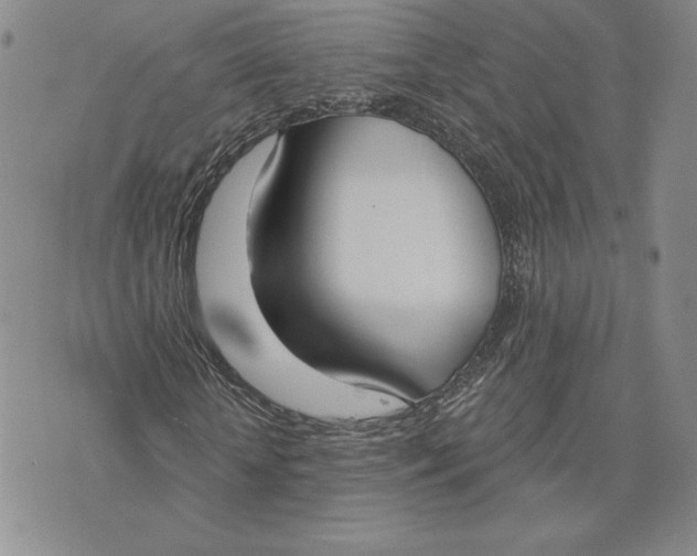 X0000075370818200609251124