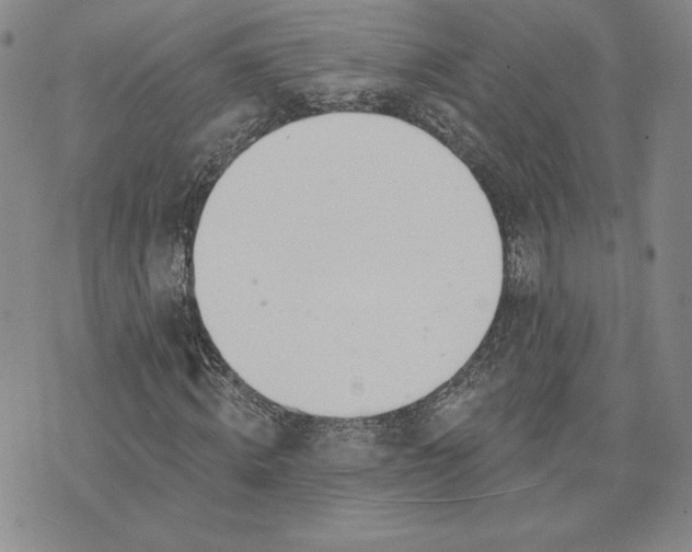 X0000075370820200609251124
