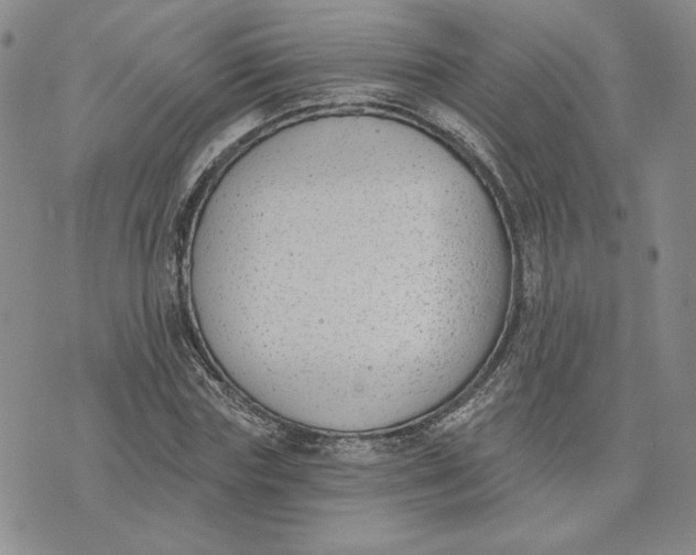 X0000075370827200609251125