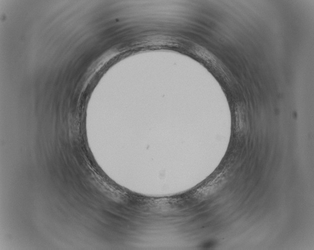 X0000075370828200609251125