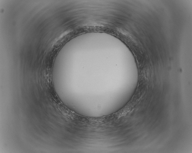 X0000075370870200609251124