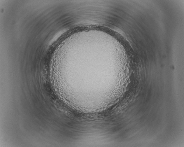 X0000075370871200609251124