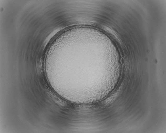 X0000075370875200609251124