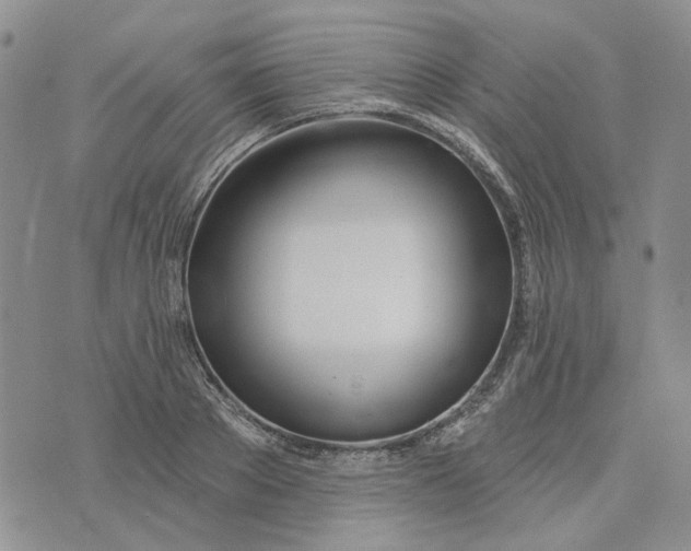 X0000075370889200609251124