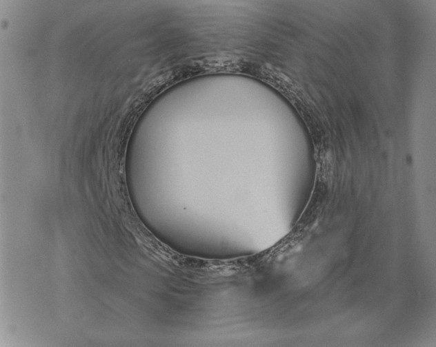 X0000075370913200609251123