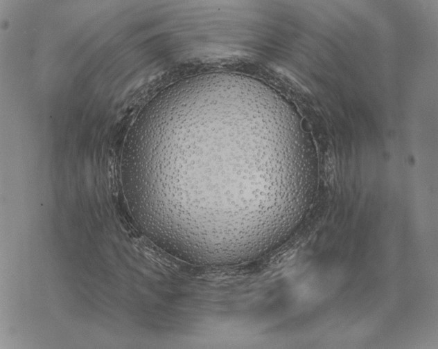 X0000075370917200609251123