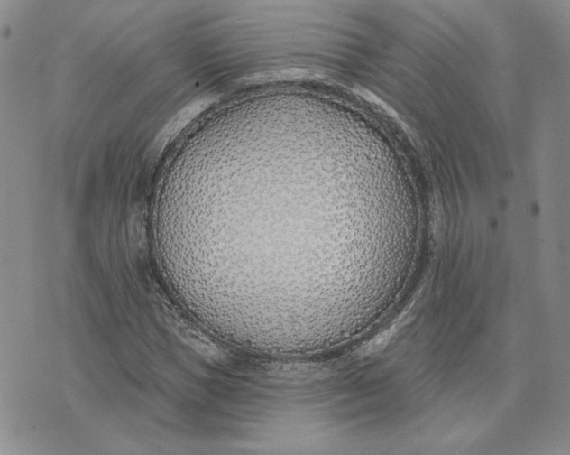 X0000075370921200609251123