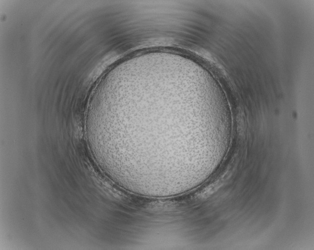 X0000075370929200609251123