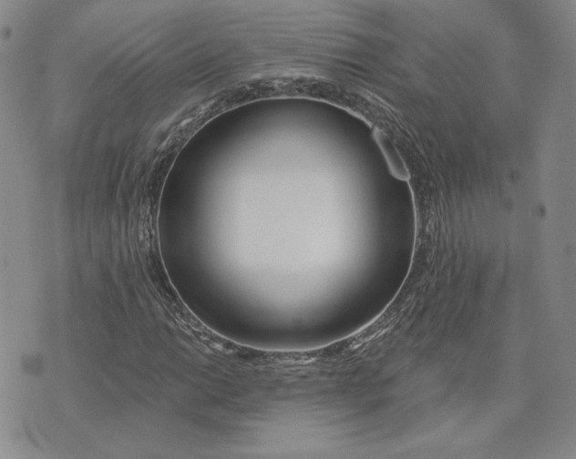 X0000075371014200609251121