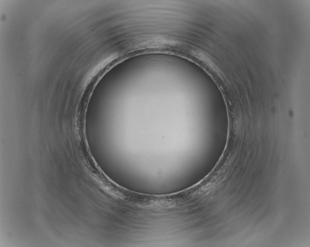 X0000075371026200609251122