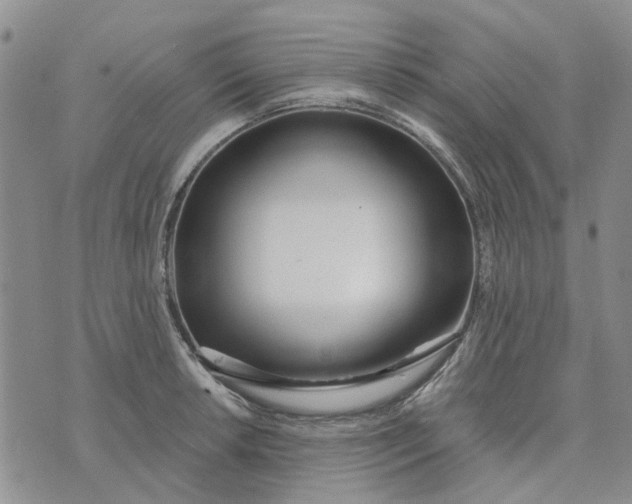 X0000075371042200609251122