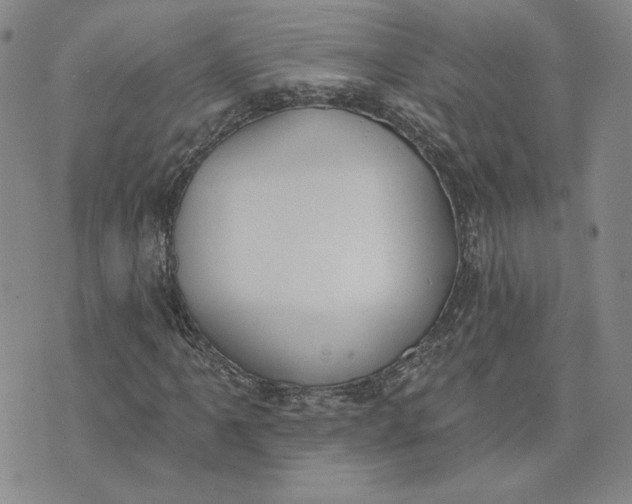 X0000075371061200609251121