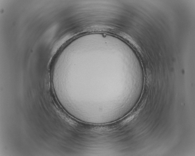 X0000075371075200609251121
