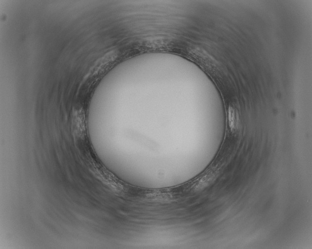 X0000075371107200609251120