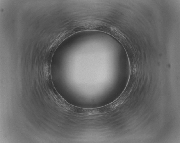 X0000075371108200609251120