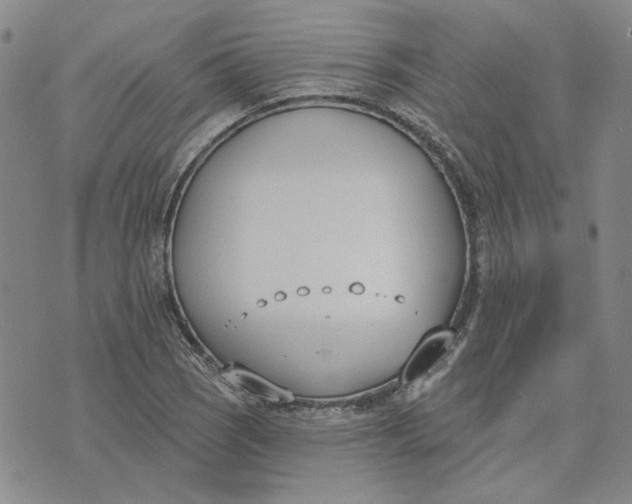 X0000075371121200609251120